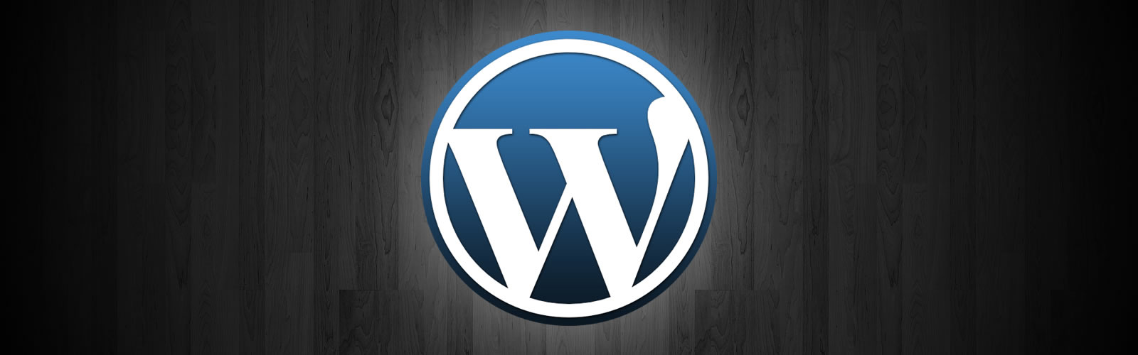 WordPress plugin development for fun and profit WordPress plugin development for fun and profit
