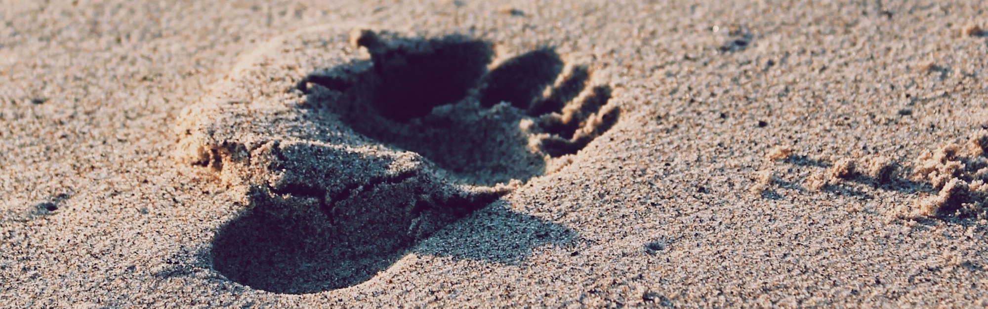 Dal Personal all’Executive Branding: perché i leader di oggi devono essere attivi online Dal Personal all’Executive Branding: perché i leader di oggi devono essere attivi online